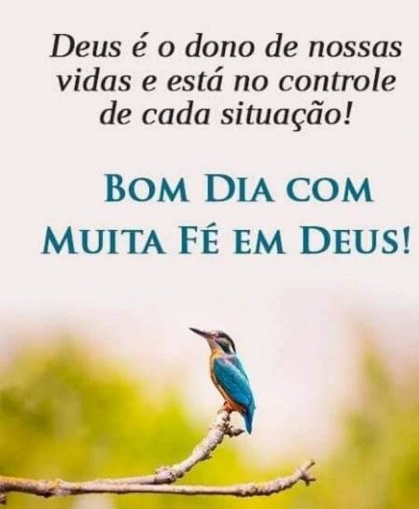 Bom Dia 29 de abril de 2022 27
