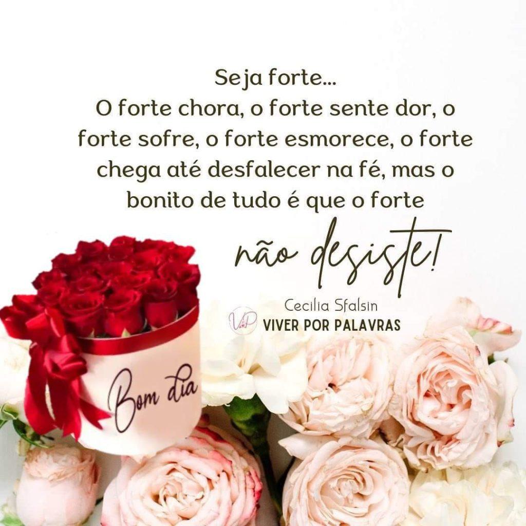 Bom Dia 02 de Maio de 2022 21