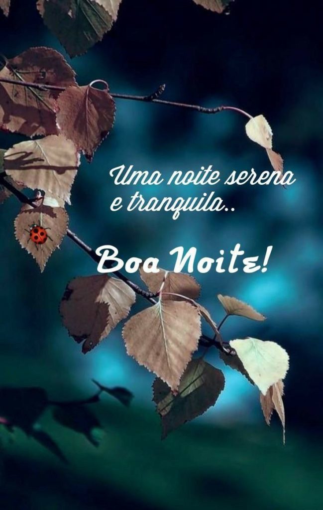 Boa Noite 04 de Maio de 2022 33