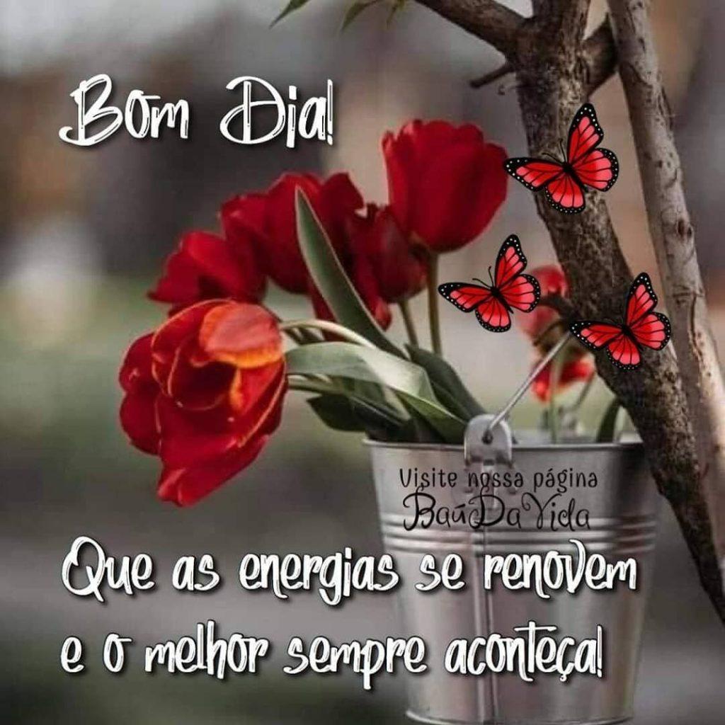Bom Dia 11 de abril de 2022 37