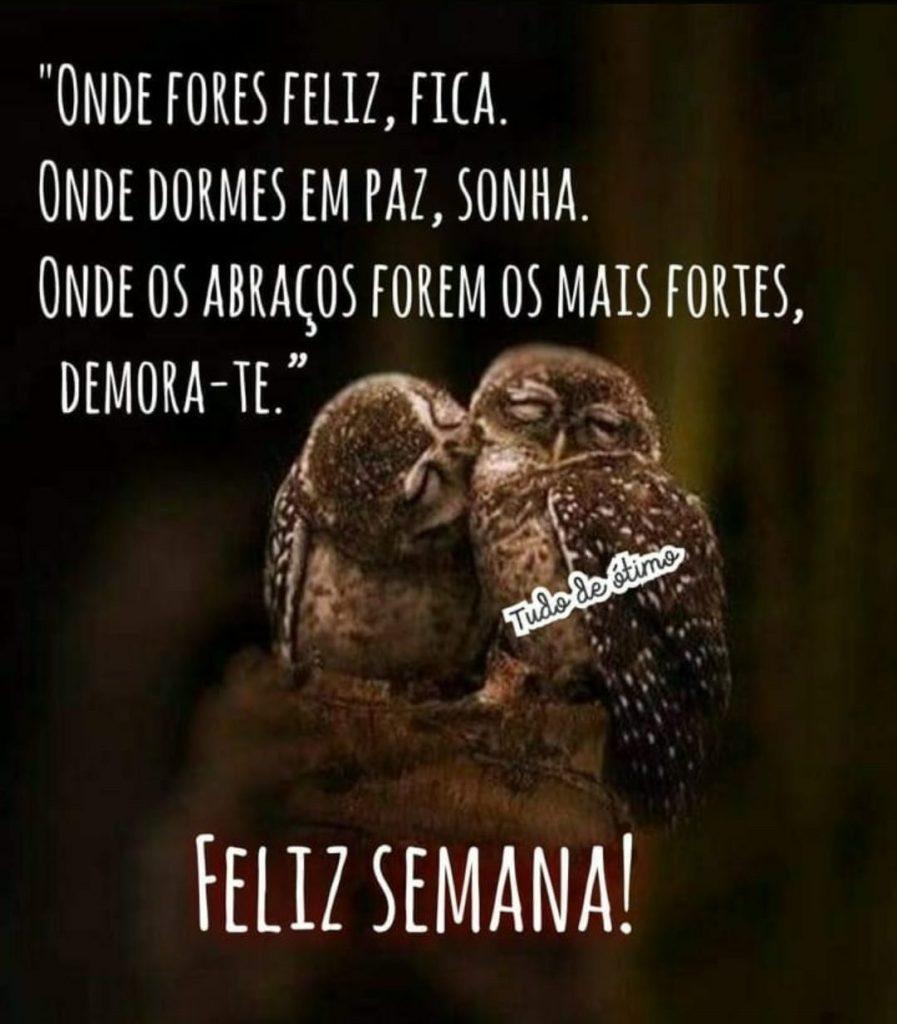 Bom Dia 12 de abril de 2022 33