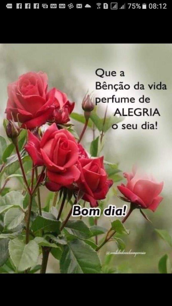 Bom Dia 12 de abril de 2022 41