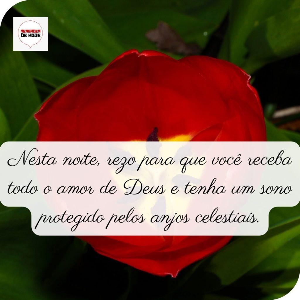 Boa Noite 06 de Maio de 2022 1