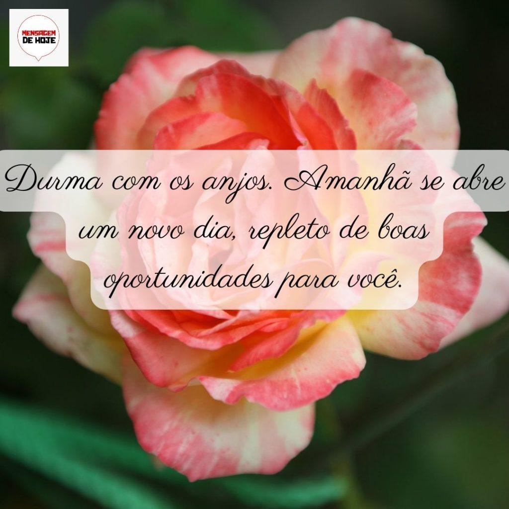 Boa Noite 01 de Junho de 2022 1