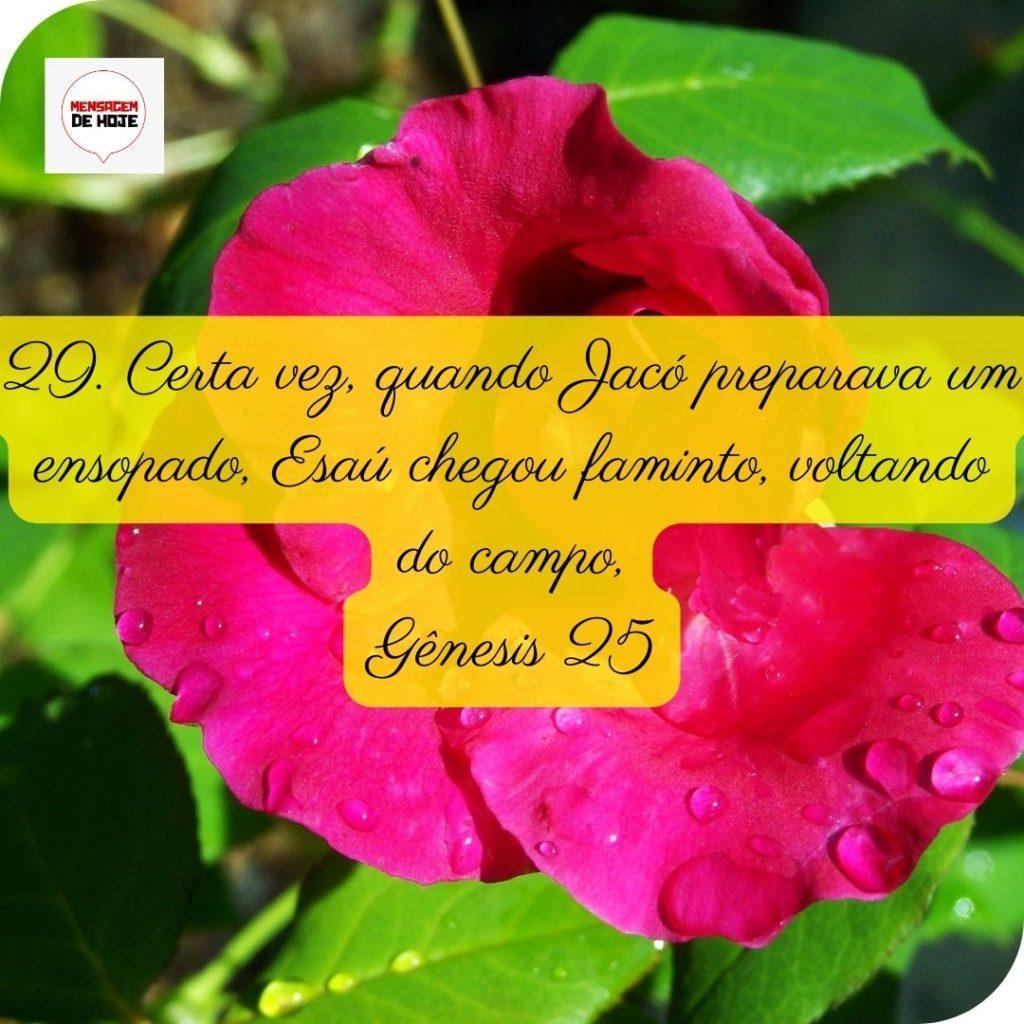 Salmos 06 de Maio de 2022 3