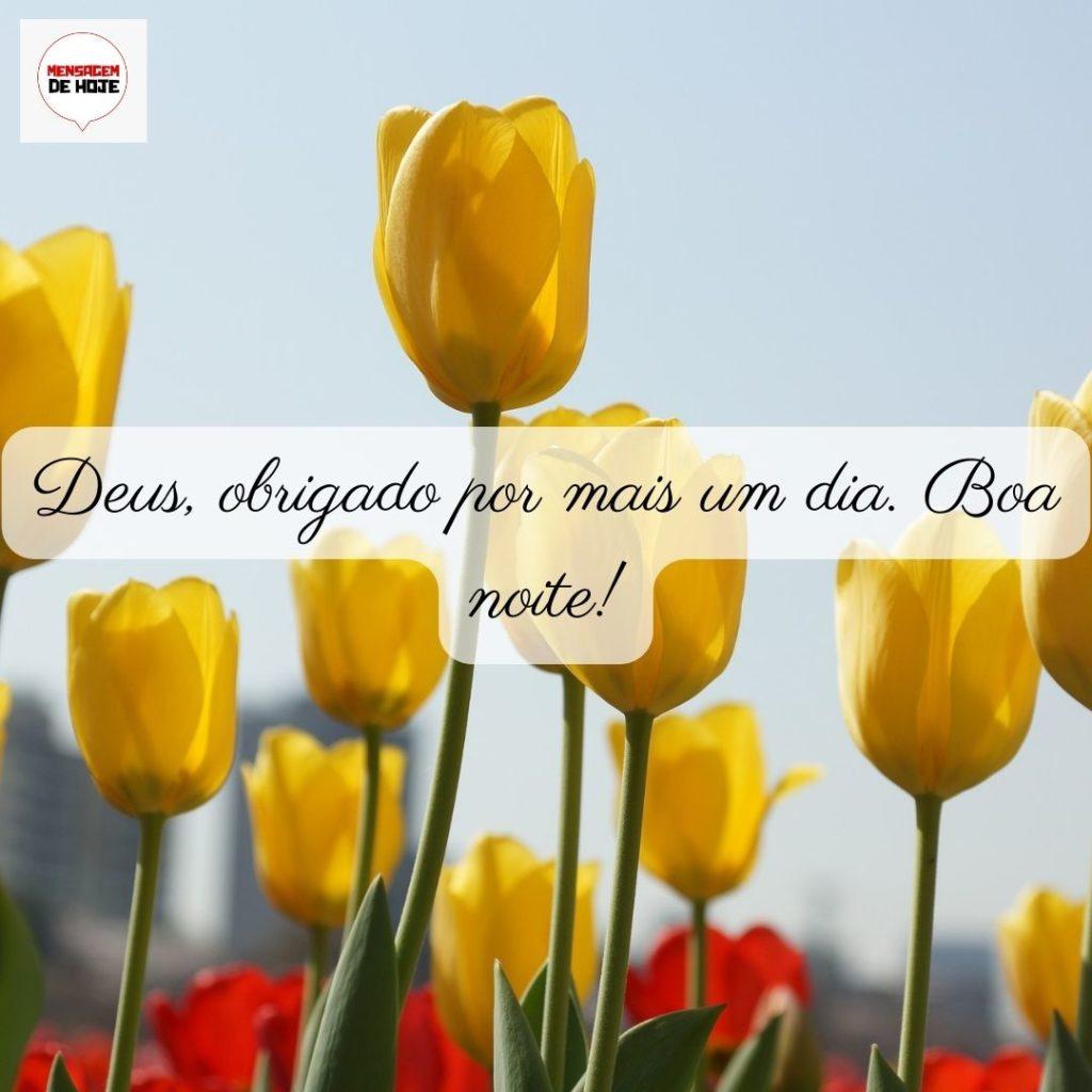 Boa Noite 01 de Junho de 2022 5