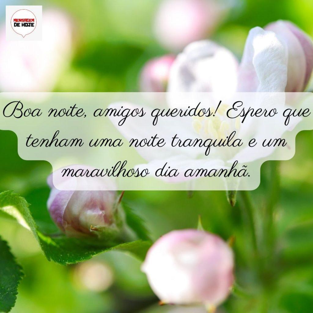 Boa Noite 01 de Junho de 2022 9