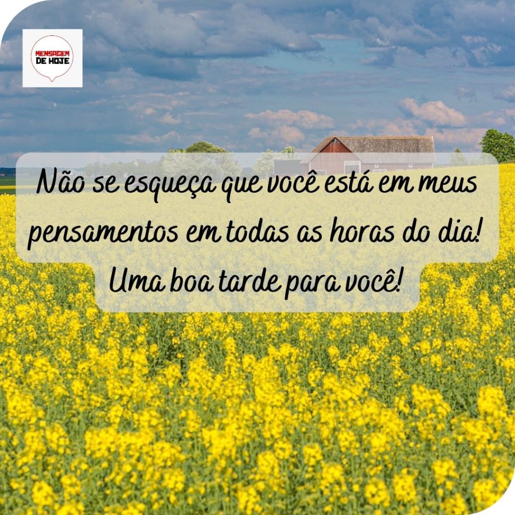 Boa Tarde 14 de Maio de 2022 9