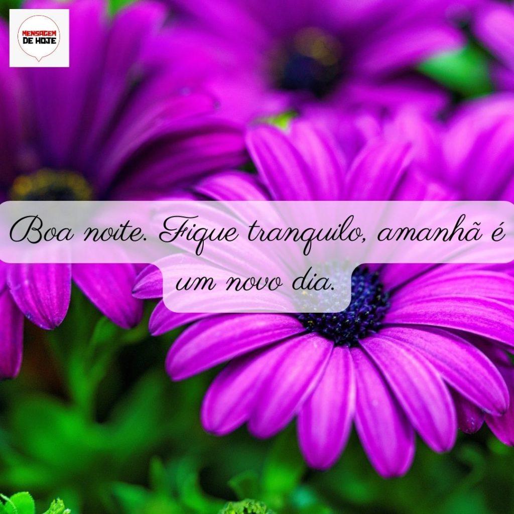 Boa Noite 01 de Junho de 2022 13