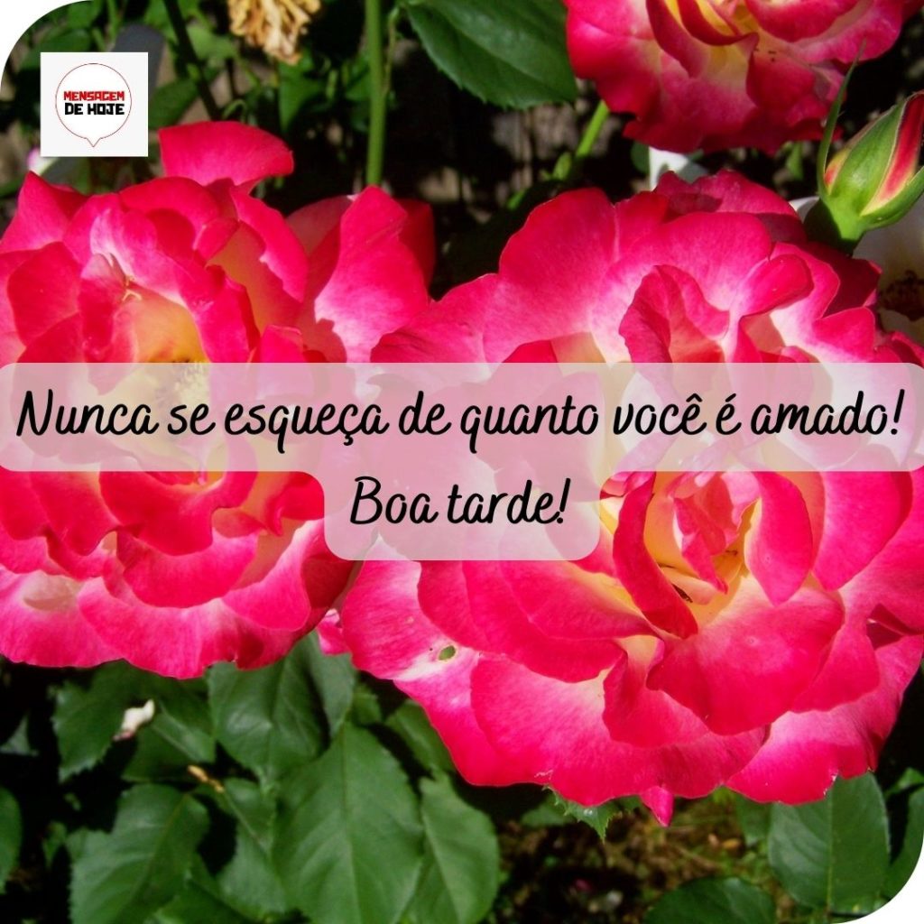 Boa Tarde 15 de Maio de 2022 1