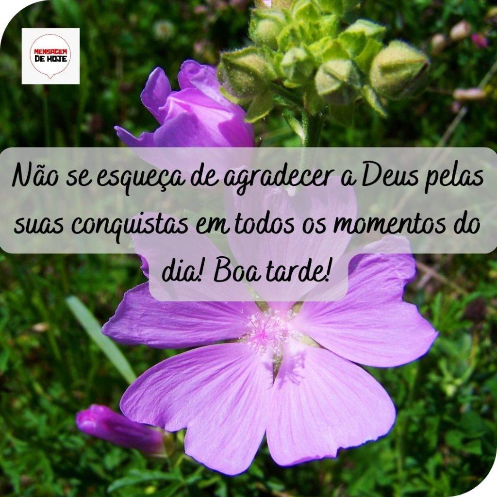 Boa Tarde 15 de Maio de 2022 5