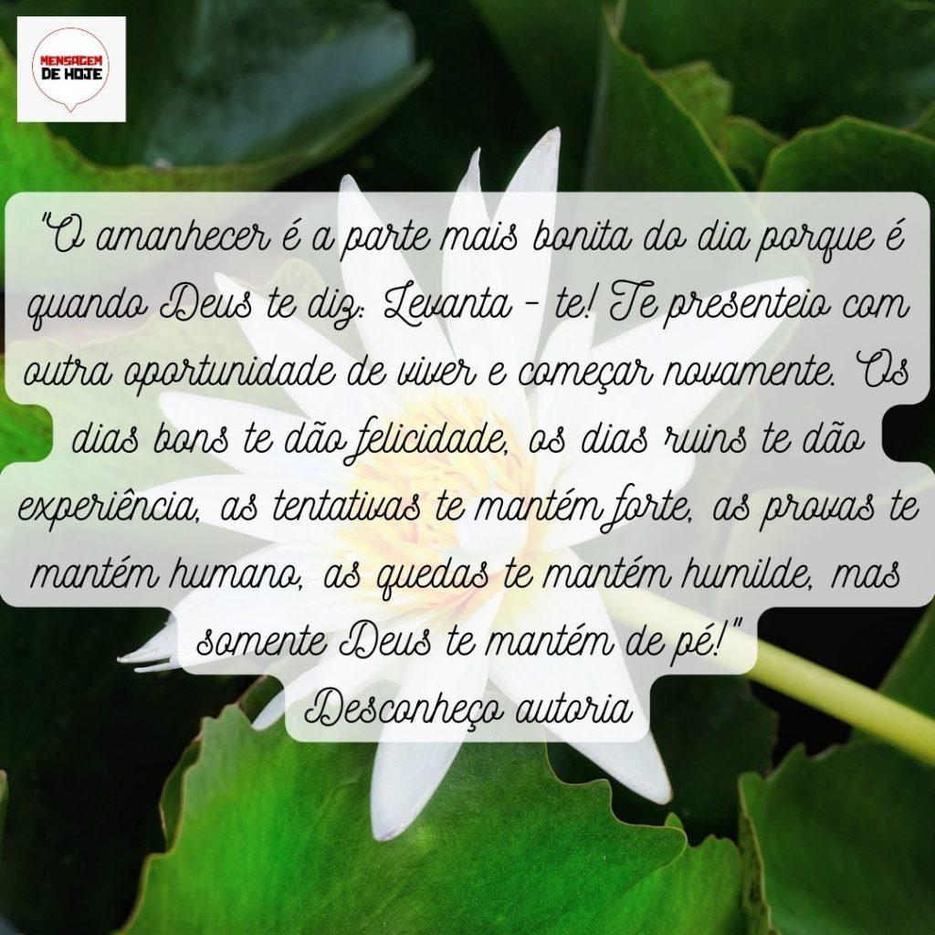 Pensamentos 31 de Maio de 2022 7