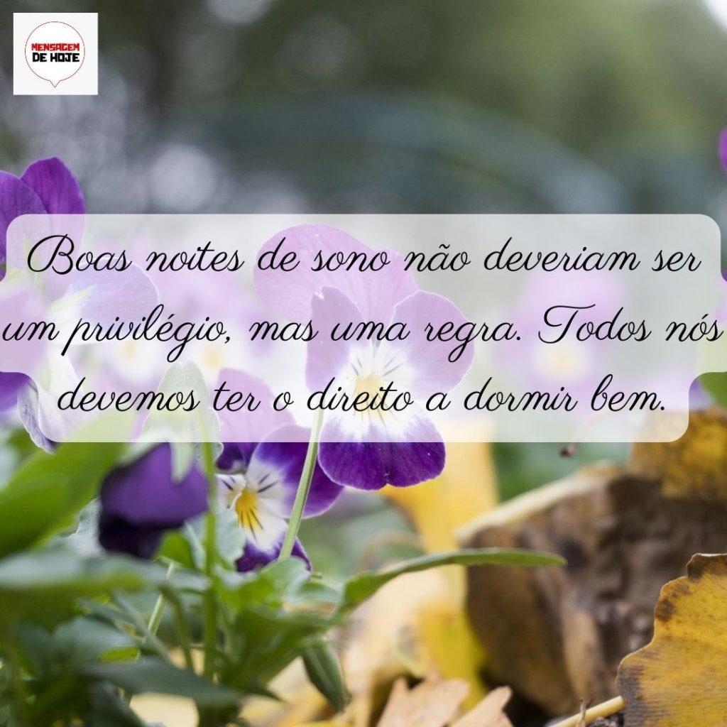 Boa Noite 02 de Junho de 2022 9