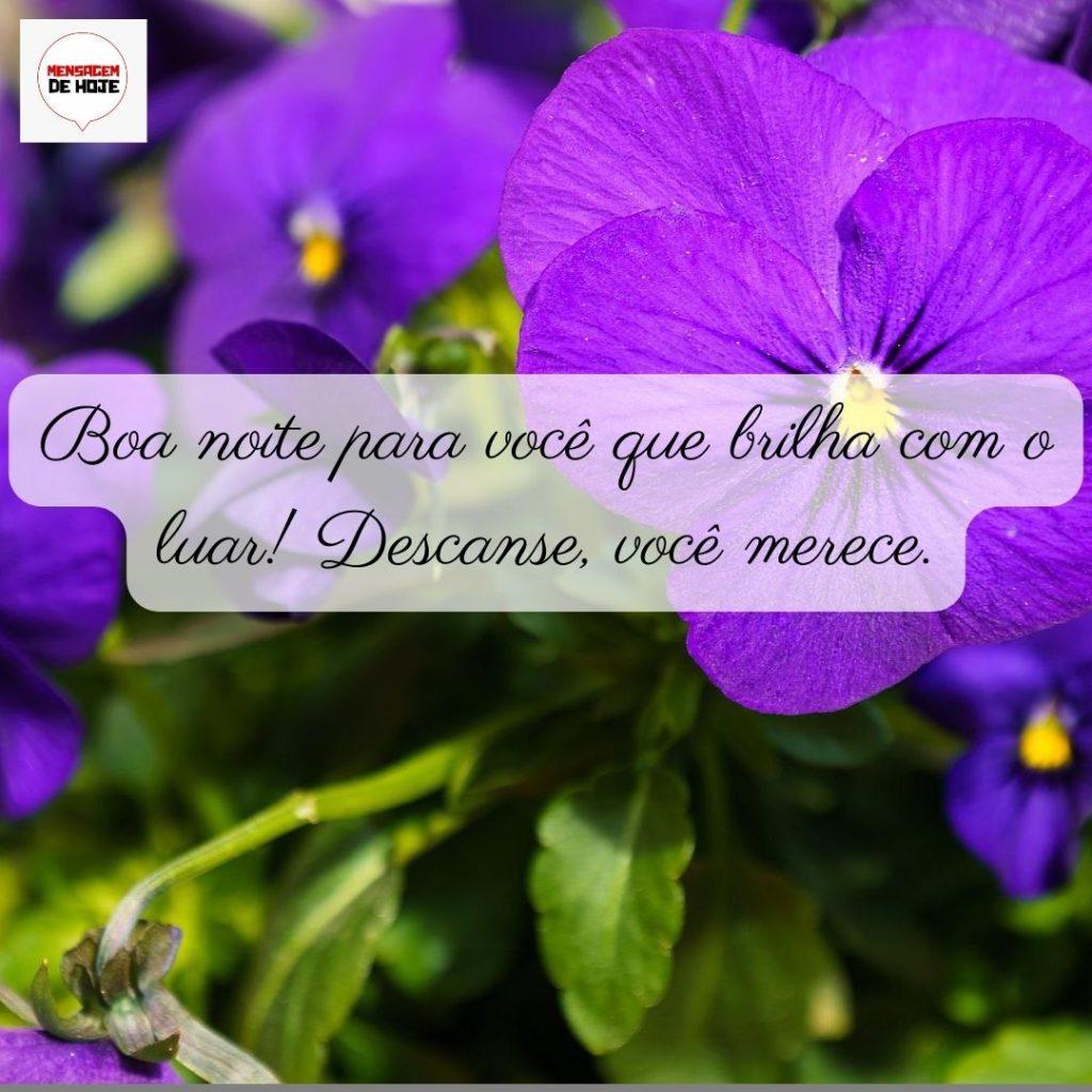 Boa Noite 02 de Junho de 2022 13