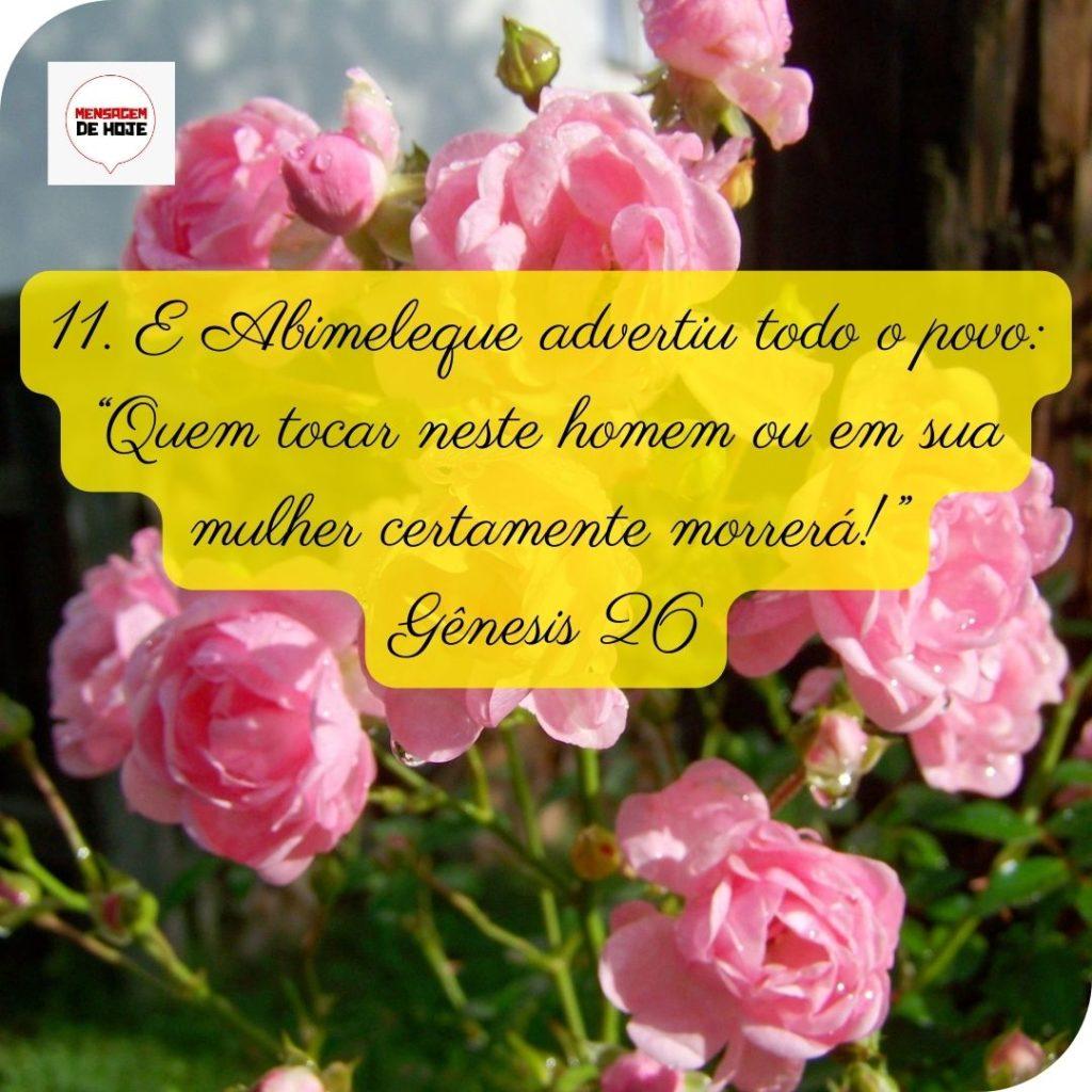 Salmos 11 de Maio de 2022 15