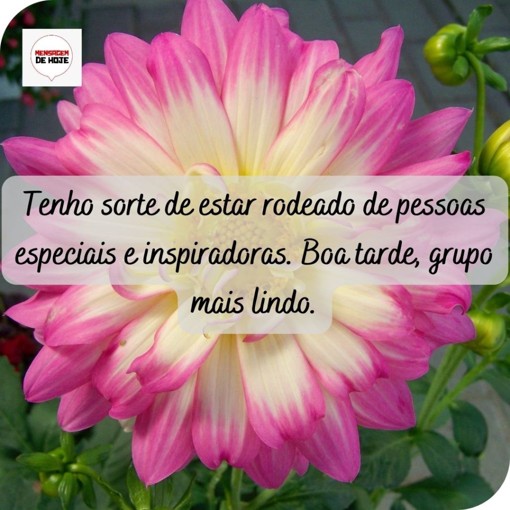 Boa Tarde 15 de Maio de 2022 17
