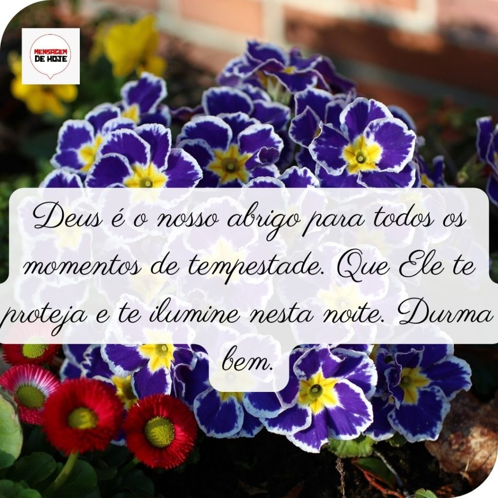 Boa Noite 06 de Maio de 2022 5