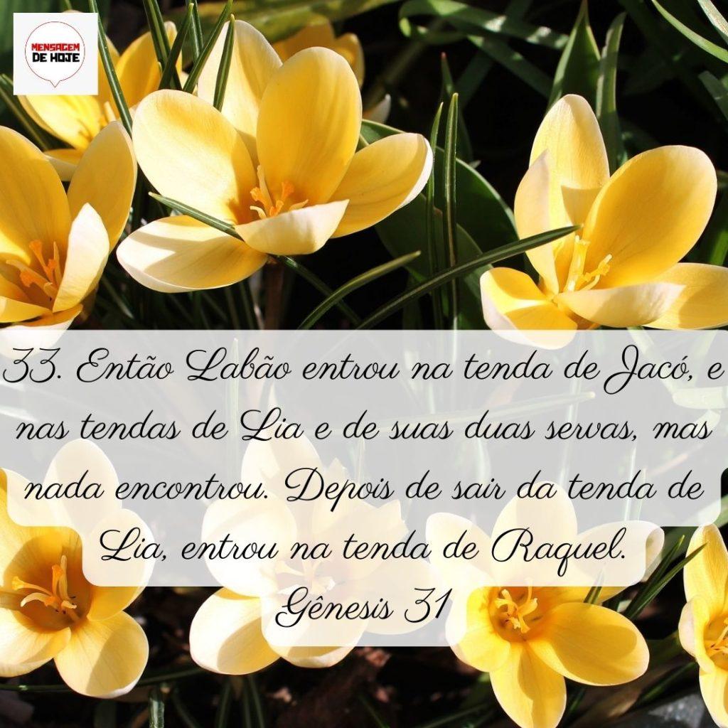 Salmos 05 de Junho de 2022 1