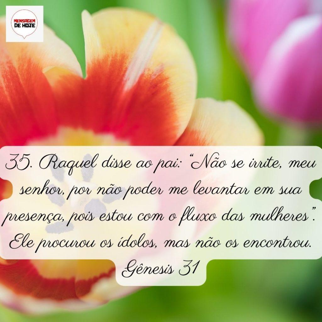 Salmos 05 de Junho de 2022 5