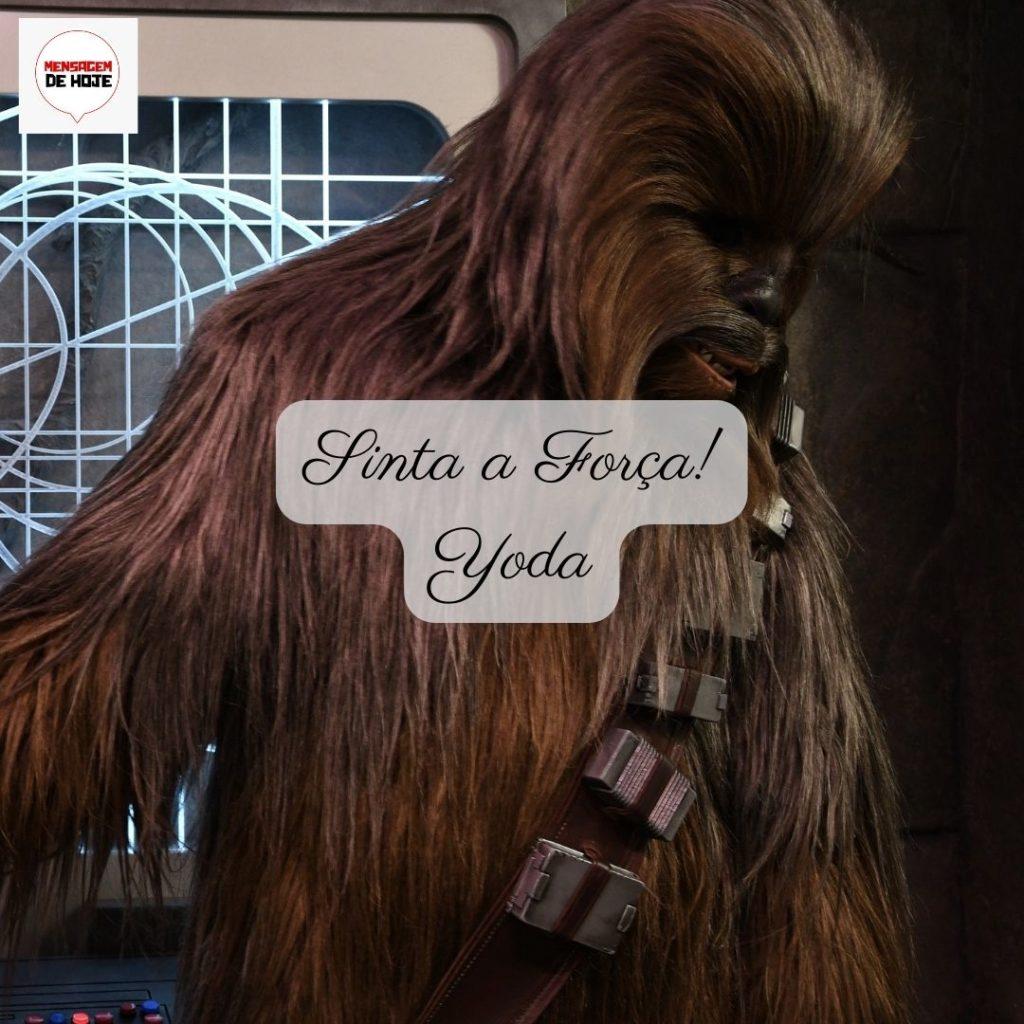 Mensagens e frases de Star Wars: 03 de Maio de 2022 25