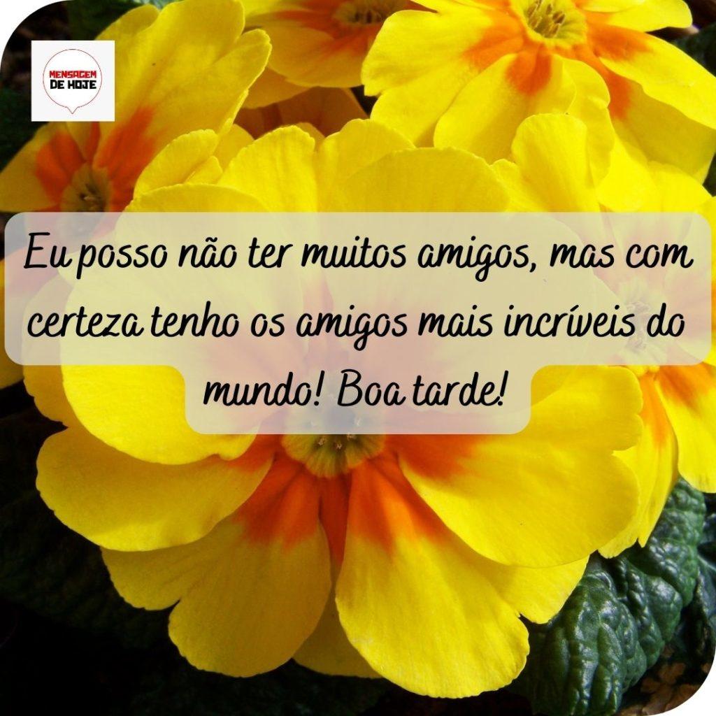 Boa Tarde 16 de Maio de 2022 5