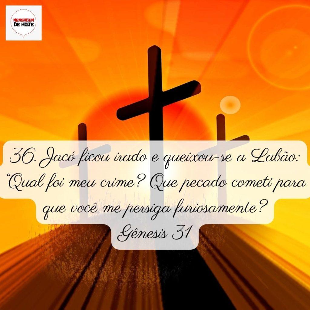 Salmos 05 de Junho de 2022 7