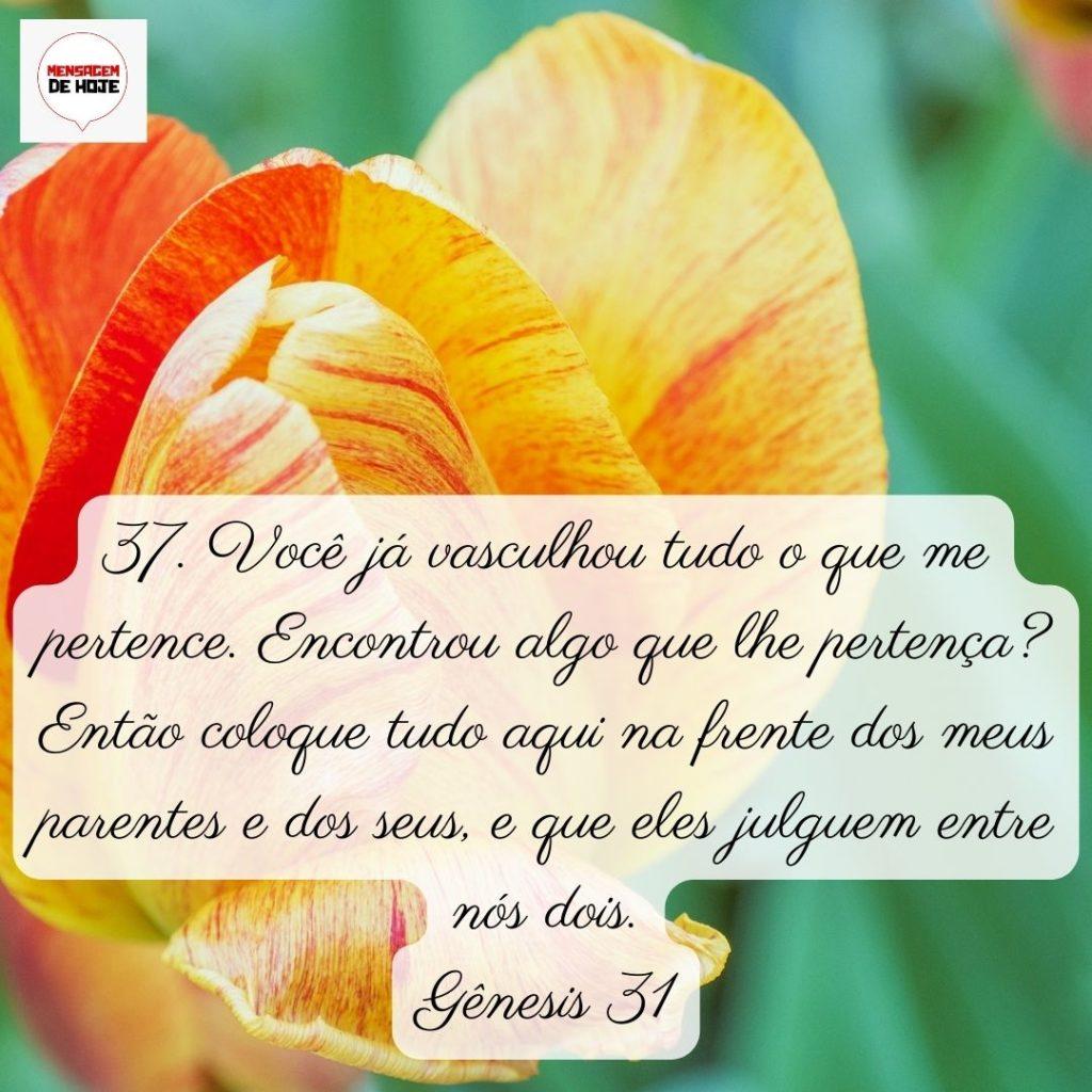 Salmos 05 de Junho de 2022 9