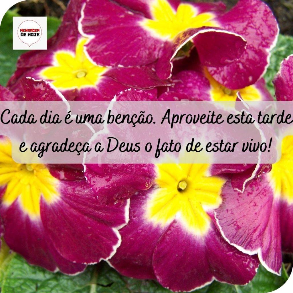 Boa Tarde 16 de Maio de 2022 9