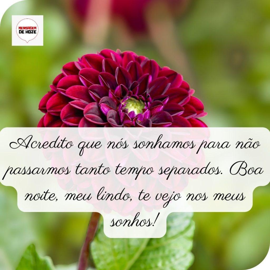 Boa Noite 09 de Maio de 2022 13