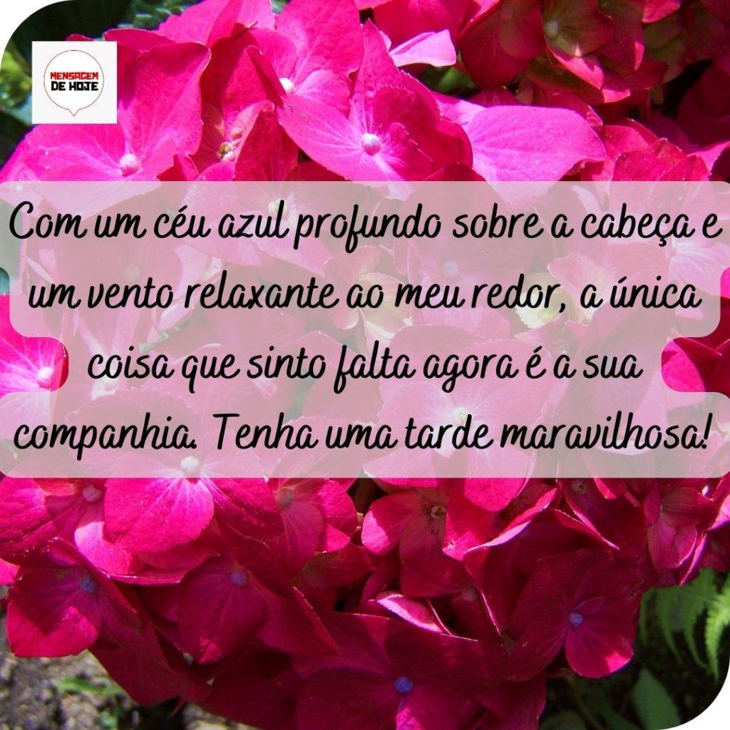 Boa Tarde 16 de Maio de 2022 13