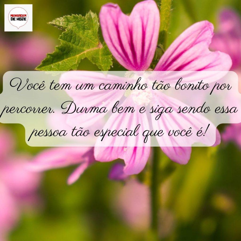 Boa Noite 03 de Junho de 2022 17