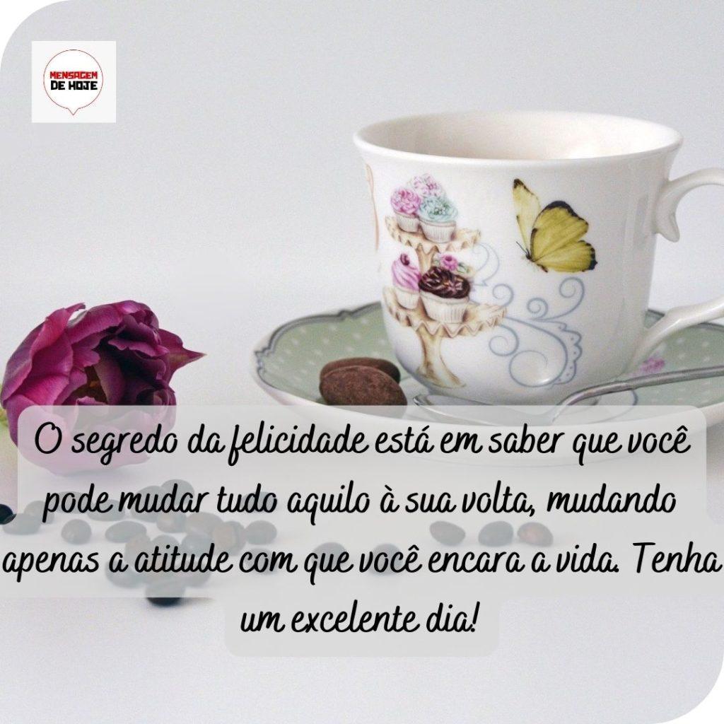 Bom Dia 20 de Maio de 2022 17