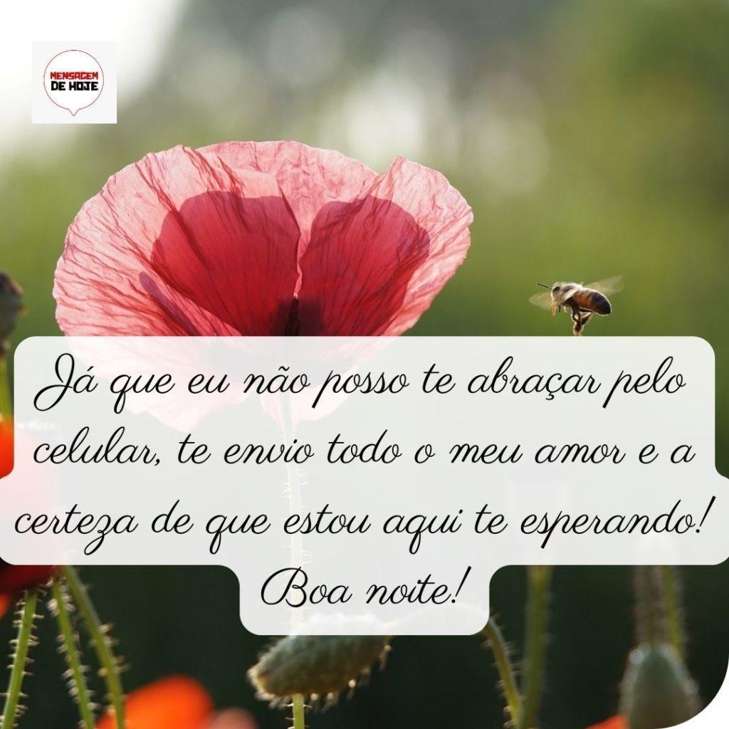 Boa Noite 10 de Maio de 2022 1