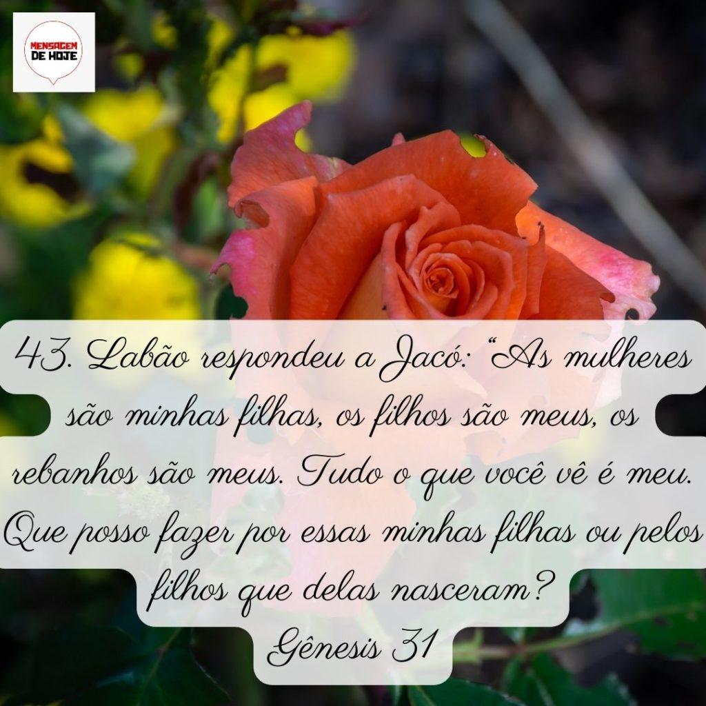 Salmos 04 de Junho de 2022 1