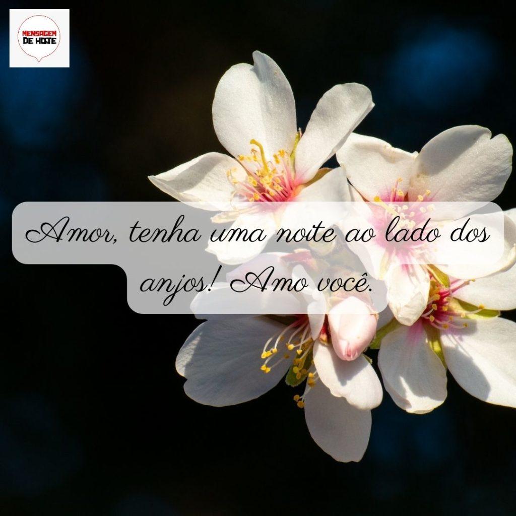 Boa Noite 04 de Junho de 2022 1
