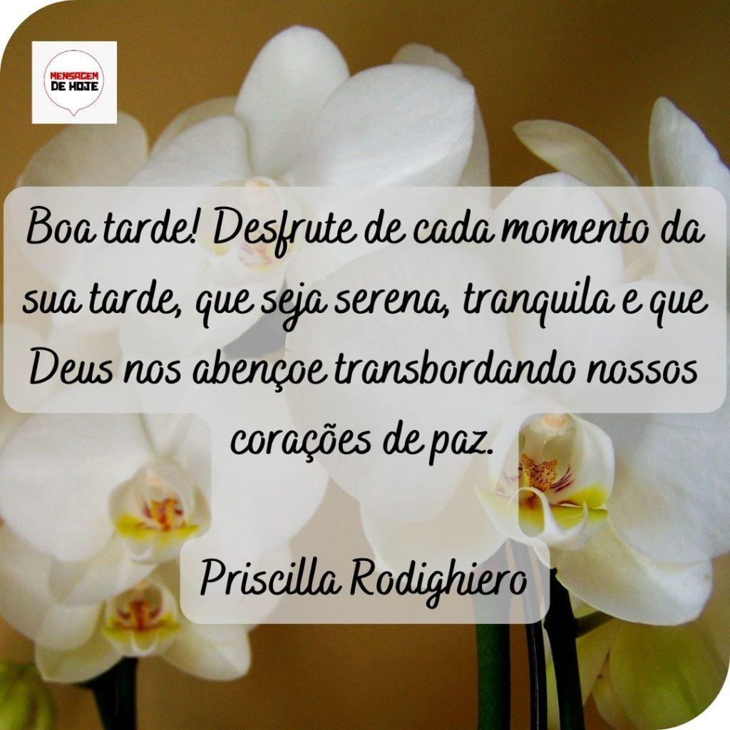 Boa Tarde 17 de Maio de 2022 1