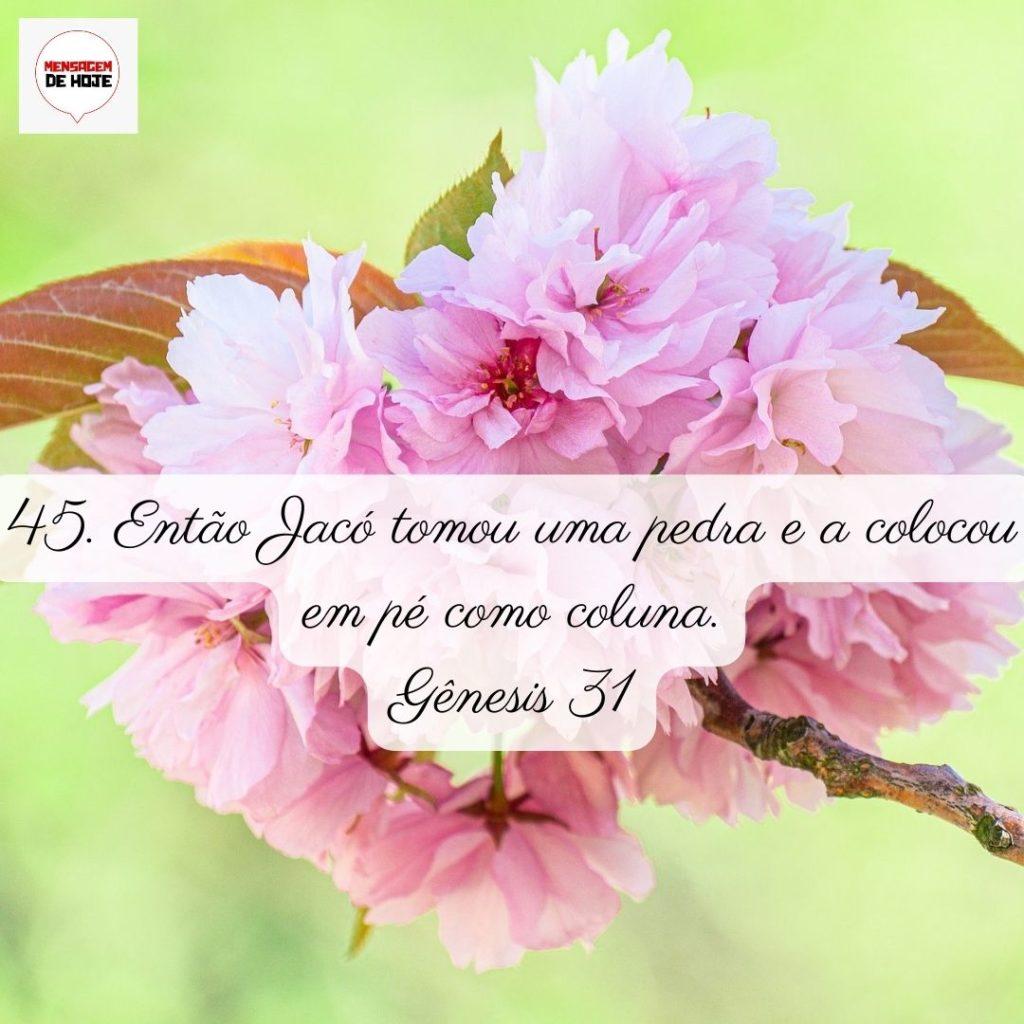 Salmos 04 de Junho de 2022 5