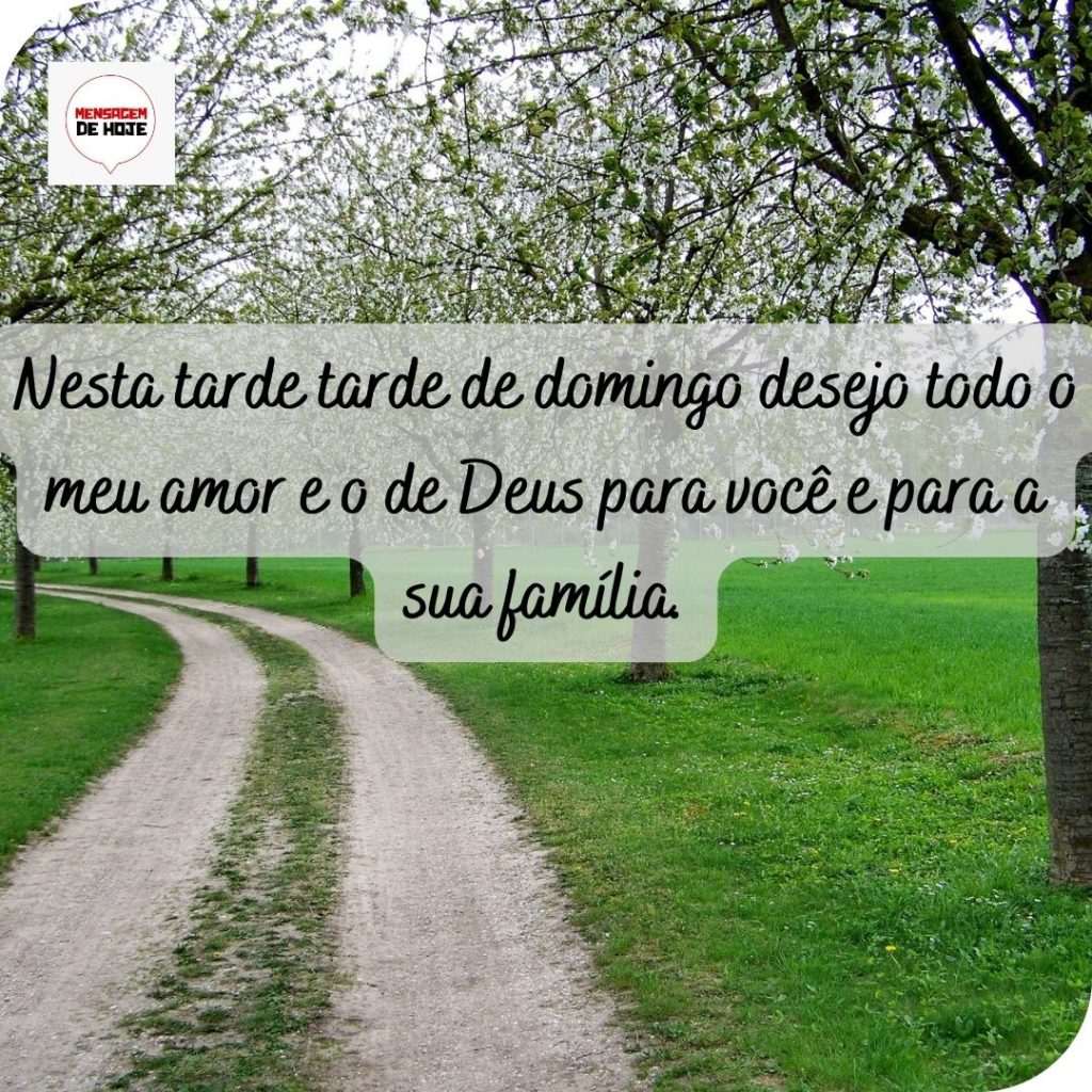 Boa Tarde 17 de Maio de 2022 7