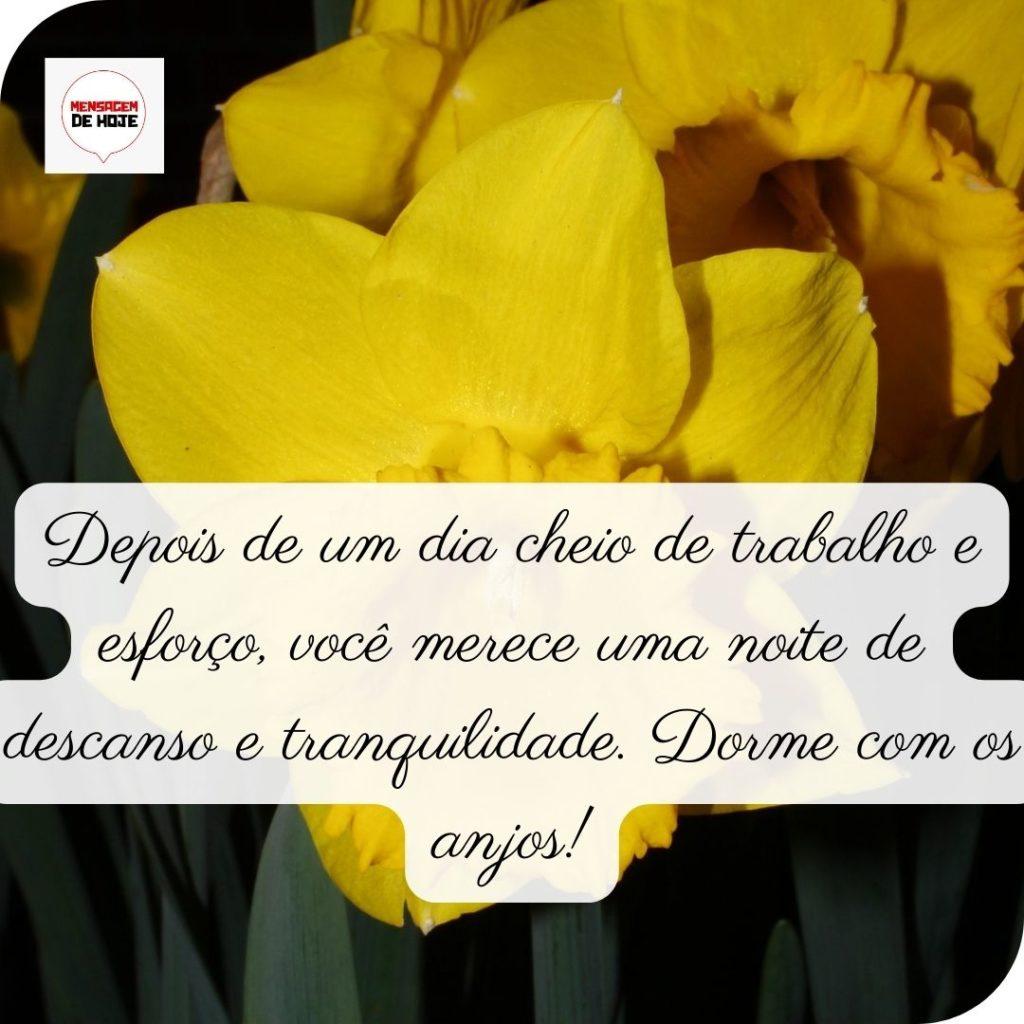 Boa Noite 10 de Maio de 2022 9
