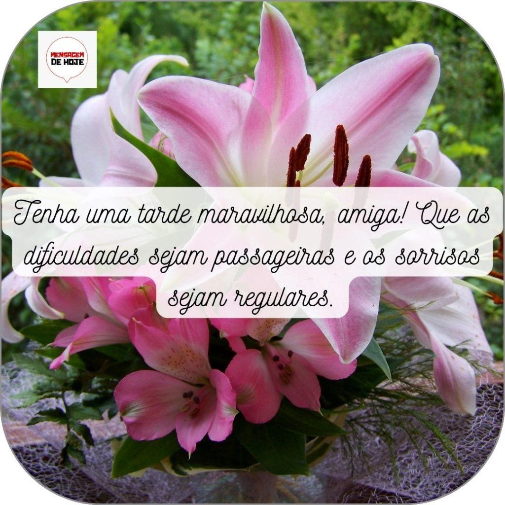 Boa Tarde 07 de Maio de 2022 11