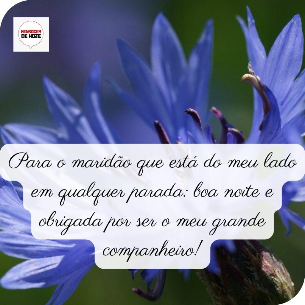 Boa Noite 10 de Maio de 2022 13