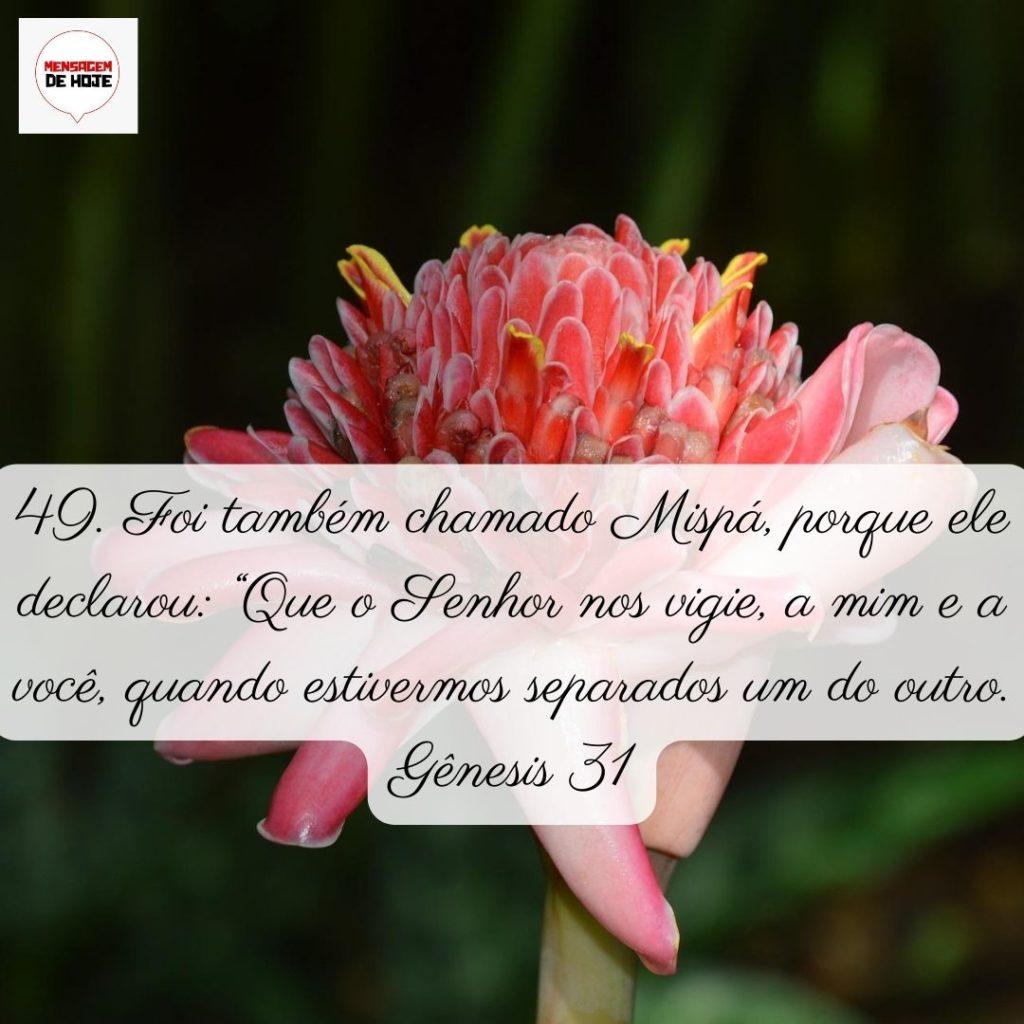 Salmos 04 de Junho de 2022 13