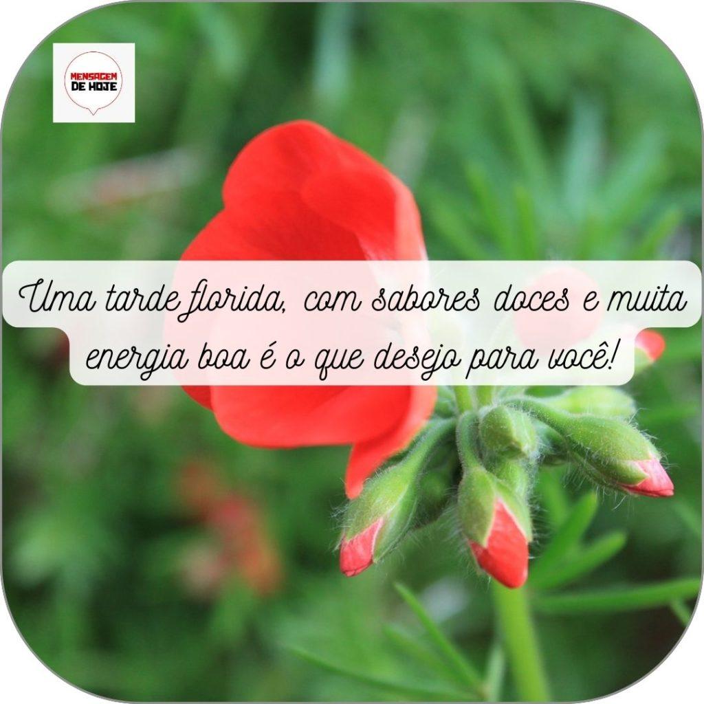 Boa Tarde 07 de Maio de 2022 15