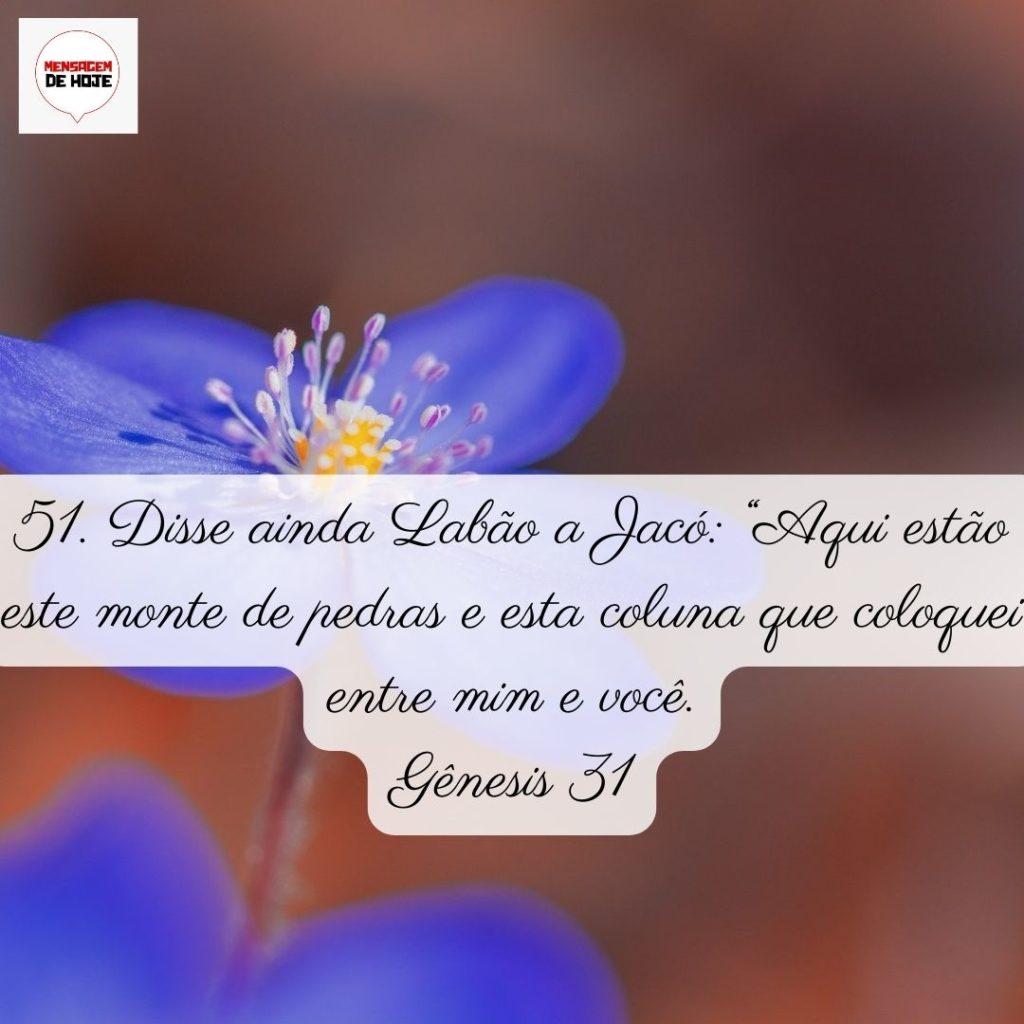 Salmos 04 de Junho de 2022 17