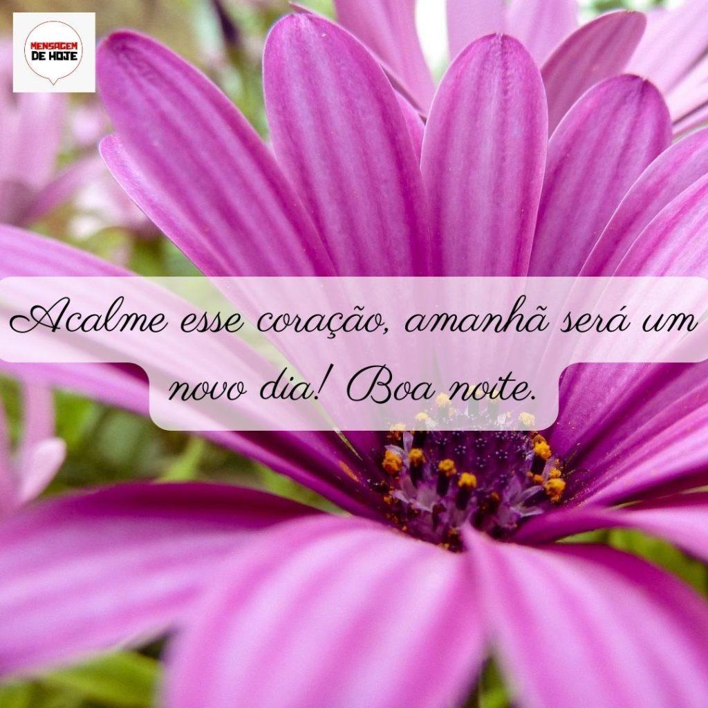Boa Noite 04 de Junho de 2022 17