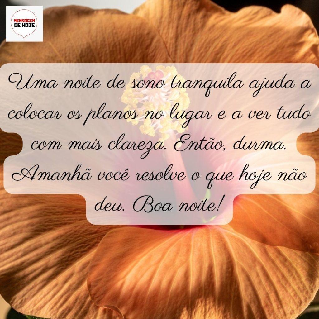 Boa Noite 31 de Maio de 2022 9