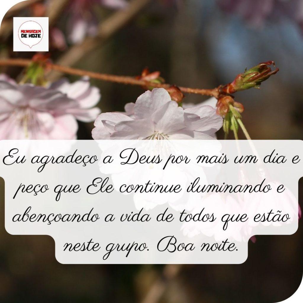 Boa Noite 06 de Maio de 2022 9