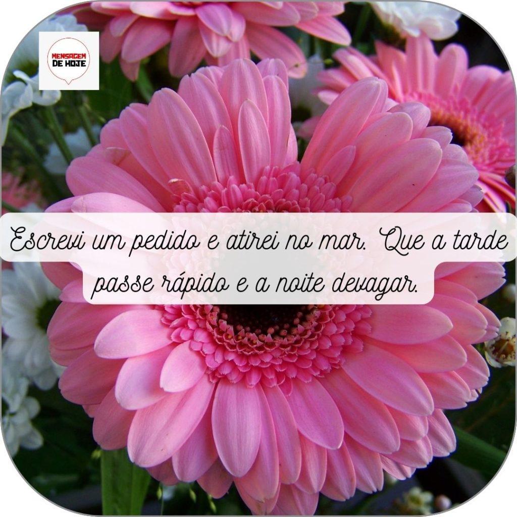 Boa Tarde 07 de Maio de 2022 19