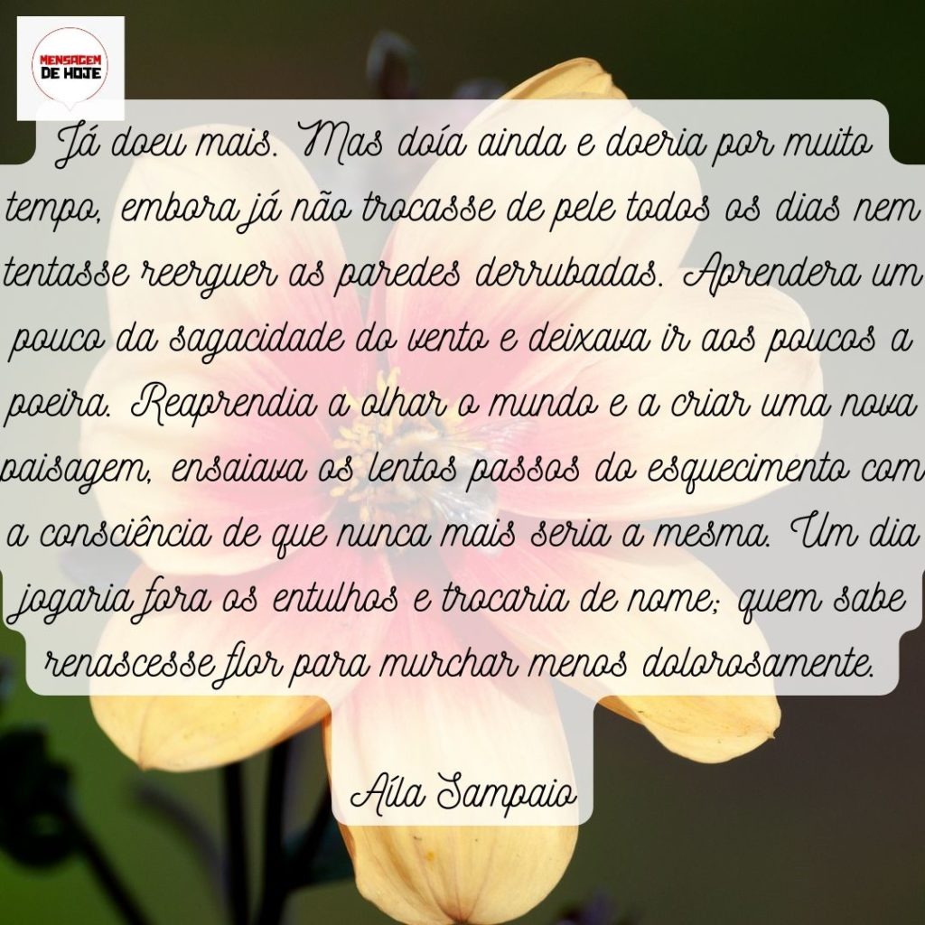 Pensamentos 22 de Maio de 2022 19