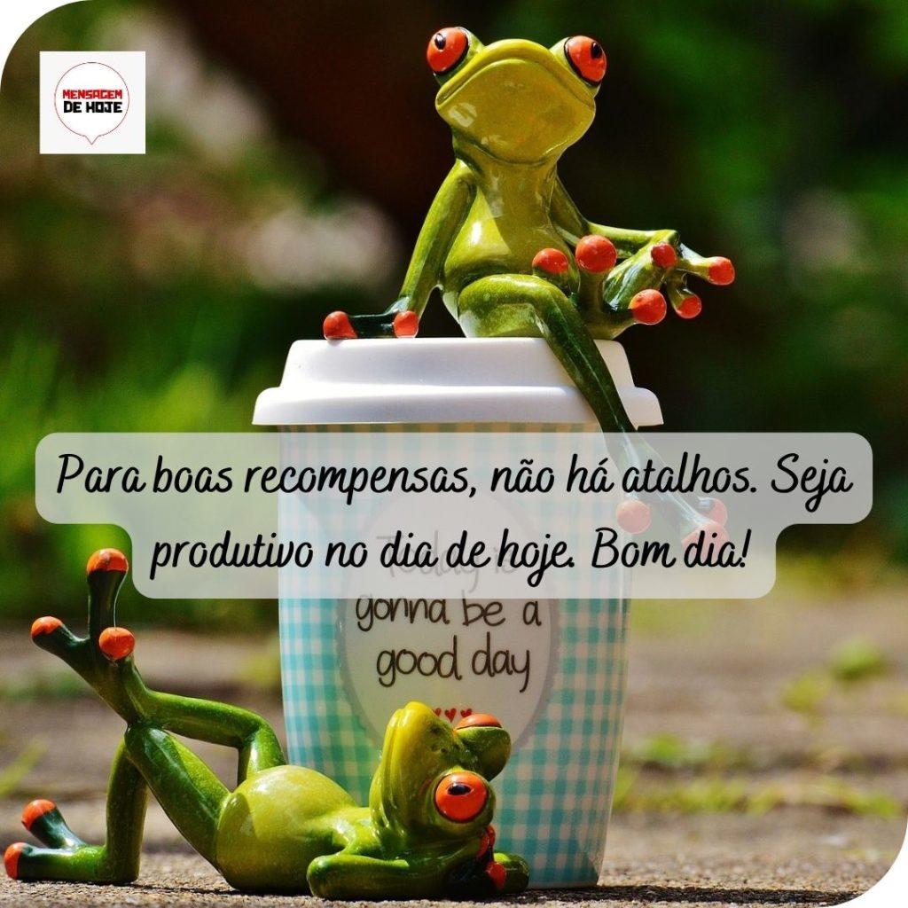 Bom Dia 14 de Maio de 2022 3